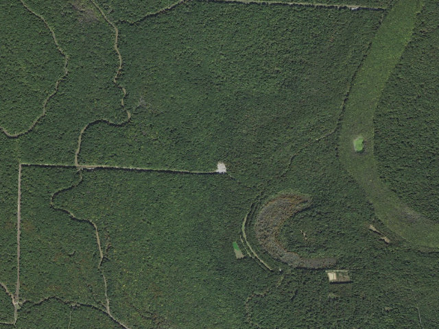 Aerial image of Lower Vallier Access Camping Area #5