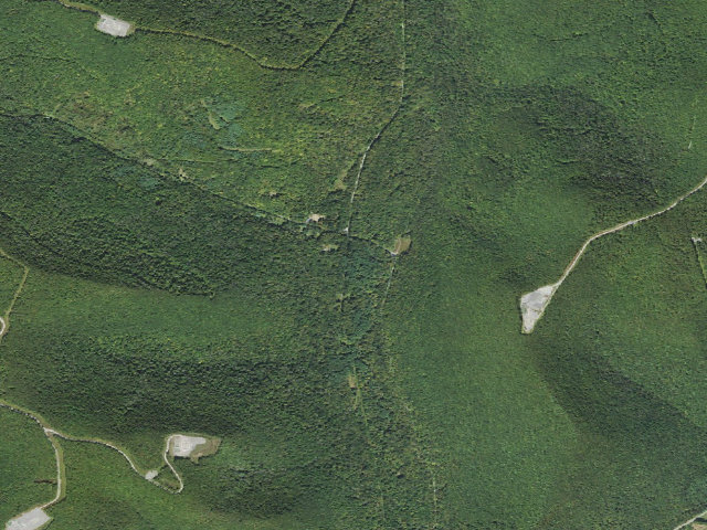 Aerial image of Loyalsock State Forest roadside campsite 001