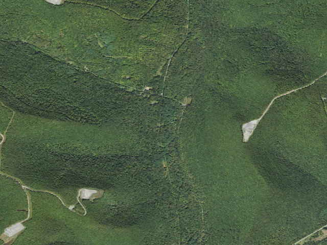 Aerial image of Loyalsock State Forest roadside campsite 002
