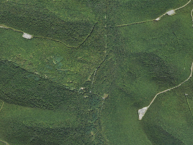 Aerial image of Loyalsock State Forest roadside campsite 003