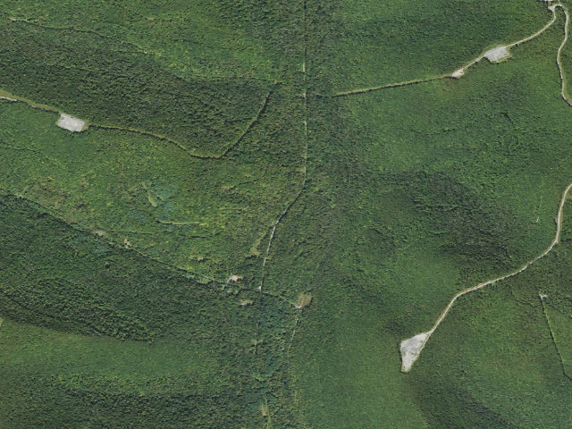 Aerial image of Loyalsock State Forest roadside campsite 004