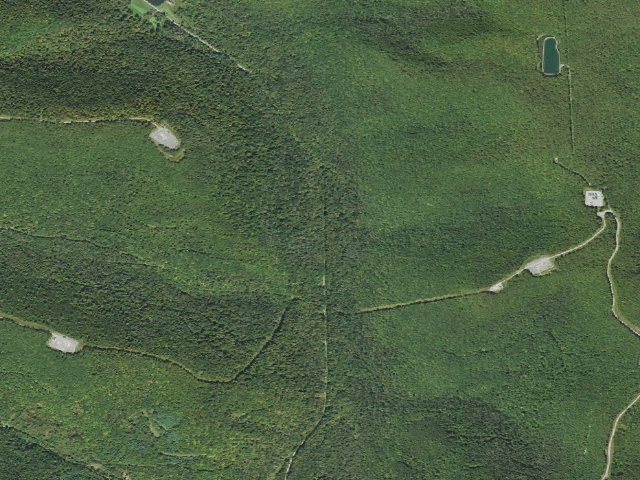Aerial image of Loyalsock State Forest roadside campsite 006