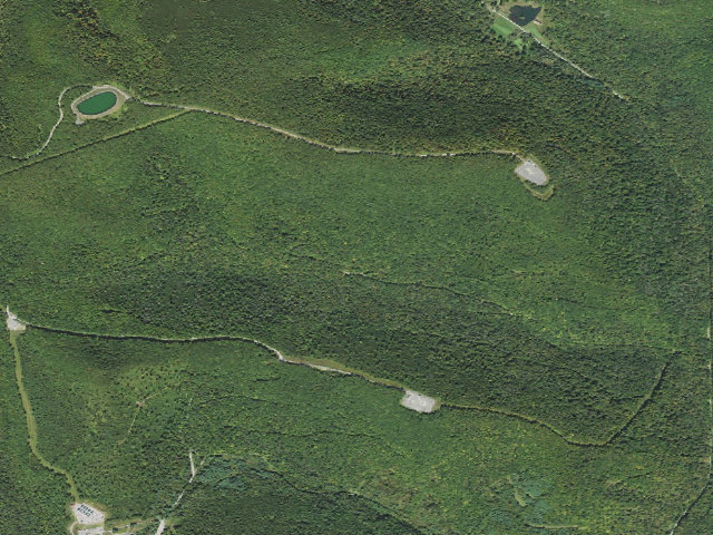 Aerial image of Loyalsock State Forest roadside campsite 008