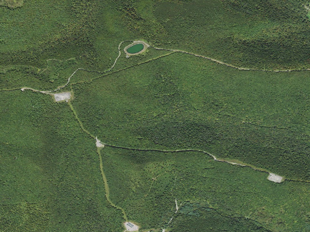 Aerial image of Loyalsock State Forest roadside campsite 009