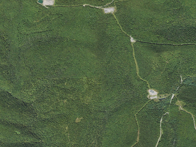 Aerial image of Loyalsock State Forest roadside campsite 010