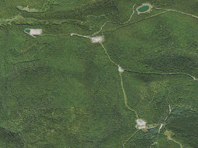 Aerial image of Loyalsock State Forest roadside campsite 011