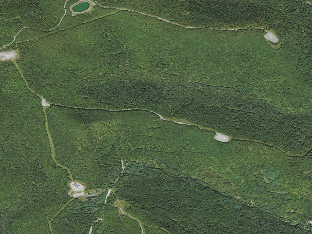 Aerial image of Loyalsock State Forest roadside campsite 012