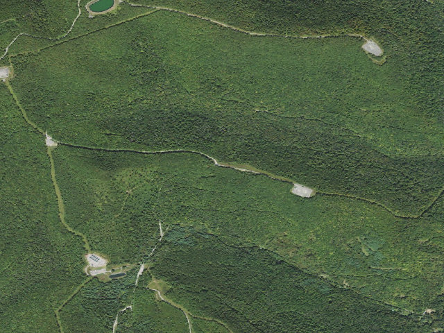 Aerial image of Loyalsock State Forest roadside campsite 013