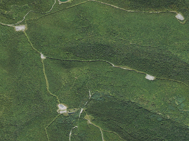 Aerial image of Loyalsock State Forest roadside campsite 014