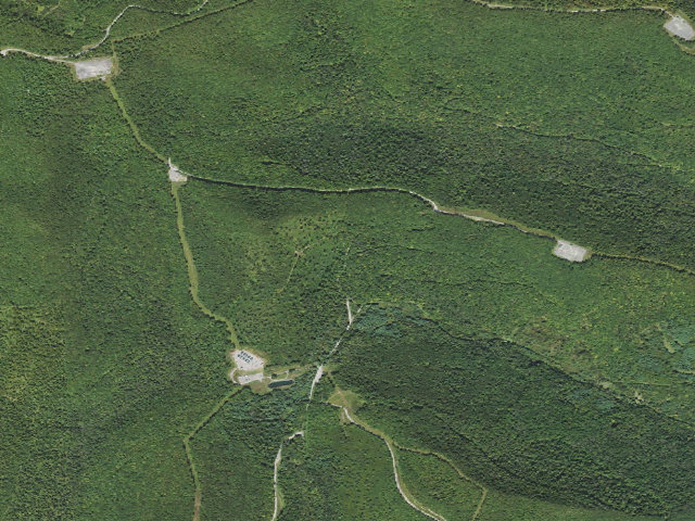 Aerial image of Loyalsock State Forest roadside campsite 015