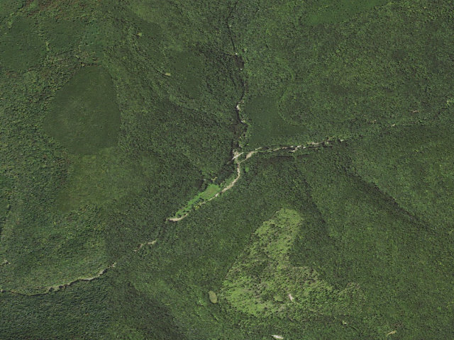 Aerial image of Loyalsock State Forest roadside campsite 020 (Masten Camping Area)