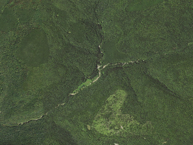Aerial image of Loyalsock State Forest roadside campsite 021 (Masten Camping Area)