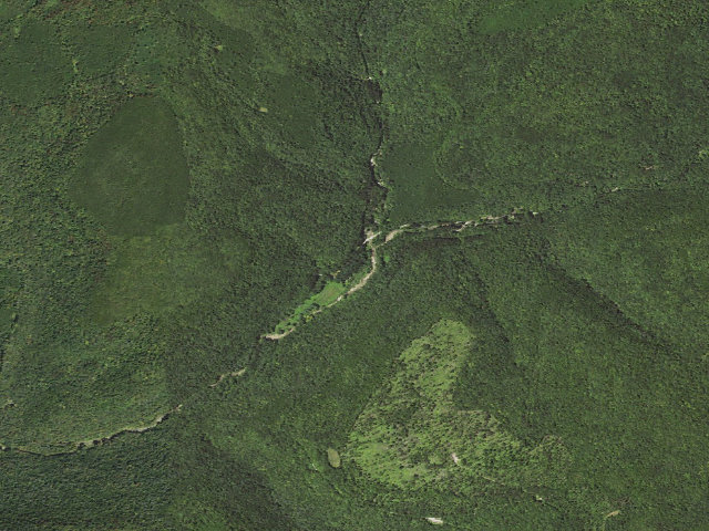 Aerial image of Loyalsock State Forest roadside campsite 023 (Masten Camping Area)