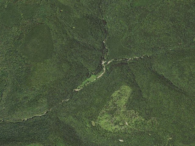 Aerial image of Loyalsock State Forest roadside campsite 024 (Masten Camping Area)