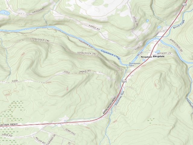 USGS topographic map of Loyalsock State Forest roadside campsite 031