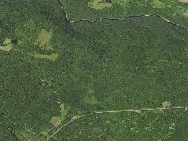 Aerial image of Loyalsock State Forest roadside campsite 041