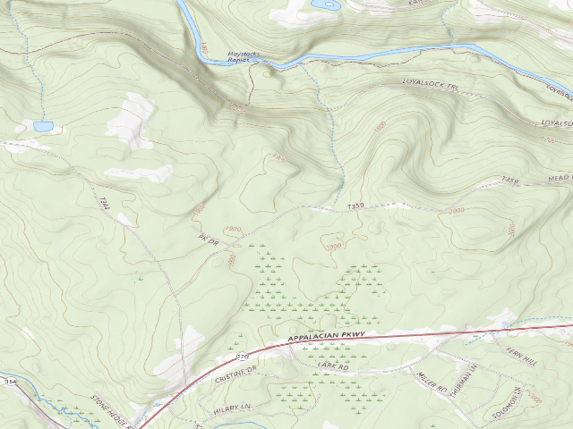 USGS topographic map of Loyalsock State Forest roadside campsite 041