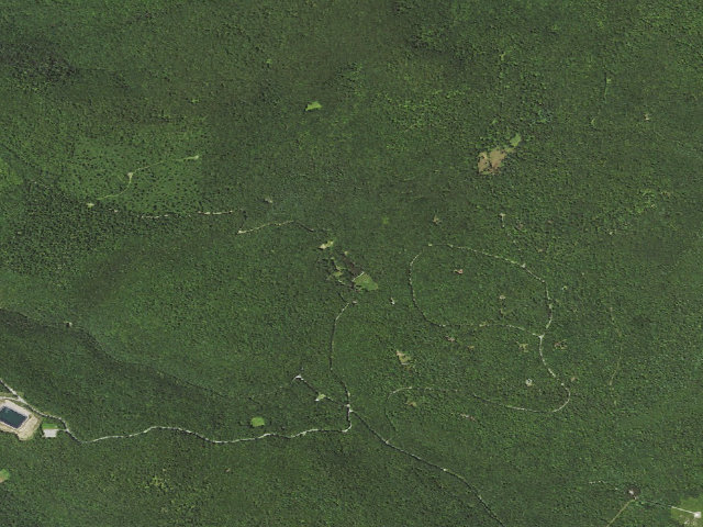 Aerial image of Loyalsock State Forest roadside campsite 120 (CCC Camp 145, Camp Conley)