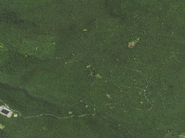 Aerial image of Loyalsock State Forest roadside campsite 121 (CCC Camp 145, Camp Conley)