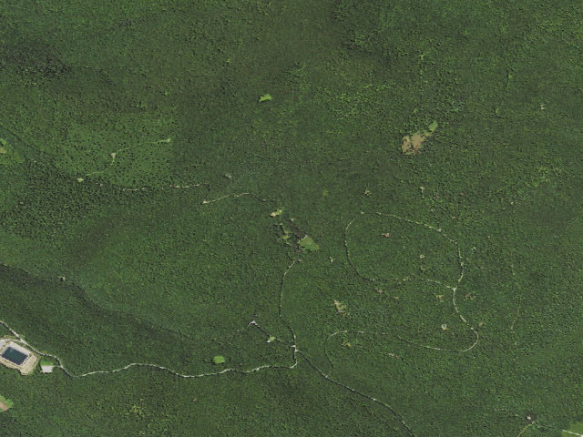 Aerial image of Loyalsock State Forest roadside campsite 122 (CCC Camp 145, Camp Conley)