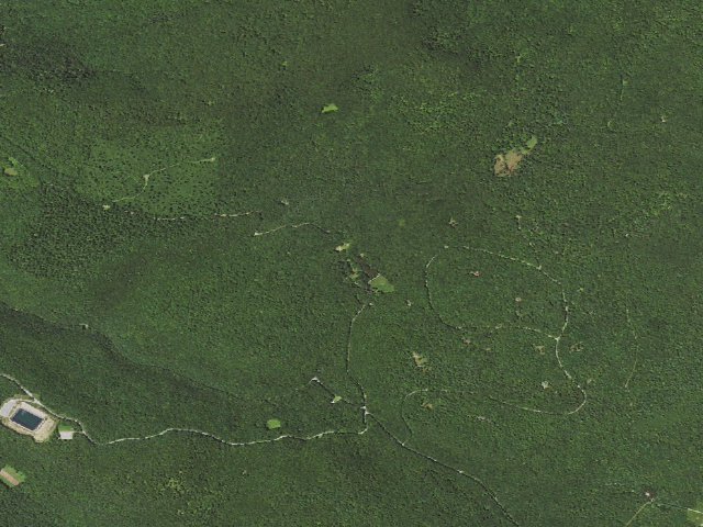Aerial image of Loyalsock State Forest roadside campsite 123 (CCC Camp 145, Camp Conley)