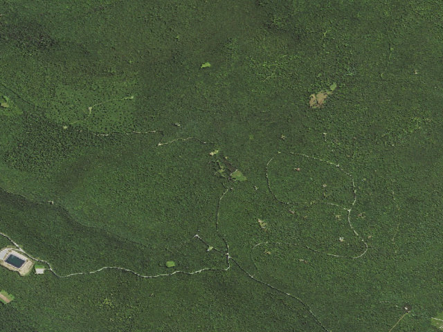 Aerial image of Loyalsock State Forest roadside campsite 124 (CCC Camp 145, Camp Conley)