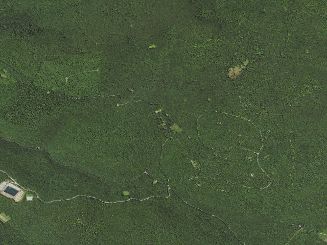 Aerial image of Loyalsock State Forest roadside campsite 125 (CCC Camp 145, Camp Conley)