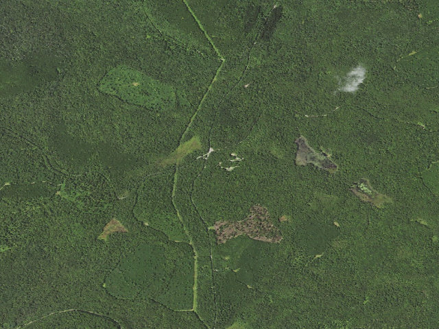 Aerial image of Loyalsock State Forest roadside campsite 200