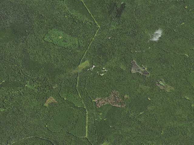 Aerial image of Loyalsock State Forest roadside campsite 201 (Bridle Trailhead)