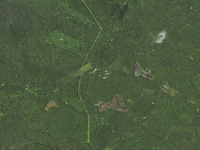 Aerial image of Loyalsock State Forest roadside campsite 202 (Bridle Trailhead)