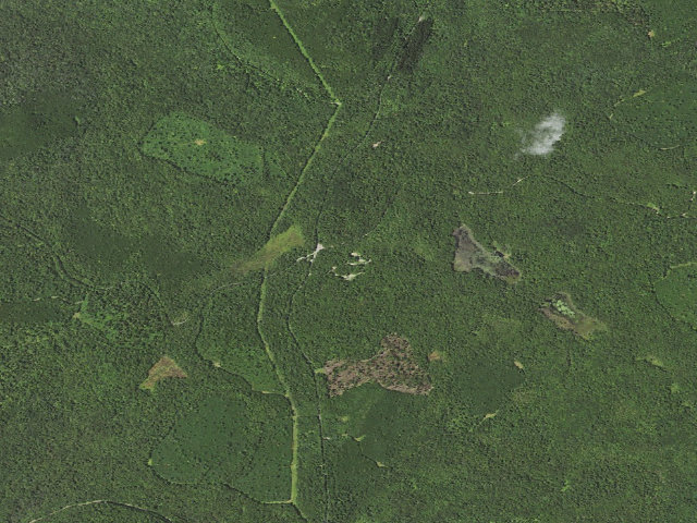 Aerial image of Loyalsock State Forest roadside campsite 203