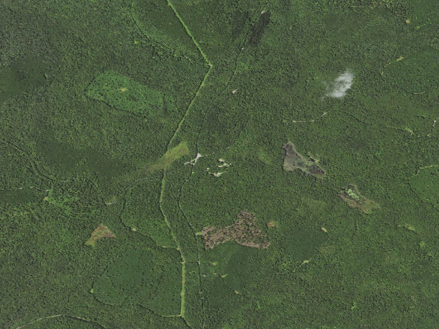 Aerial image of Loyalsock State Forest roadside campsite 204