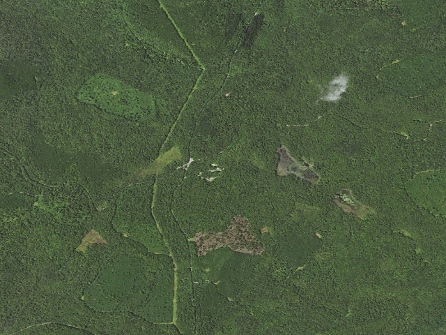 Aerial image of Loyalsock State Forest roadside campsite 206