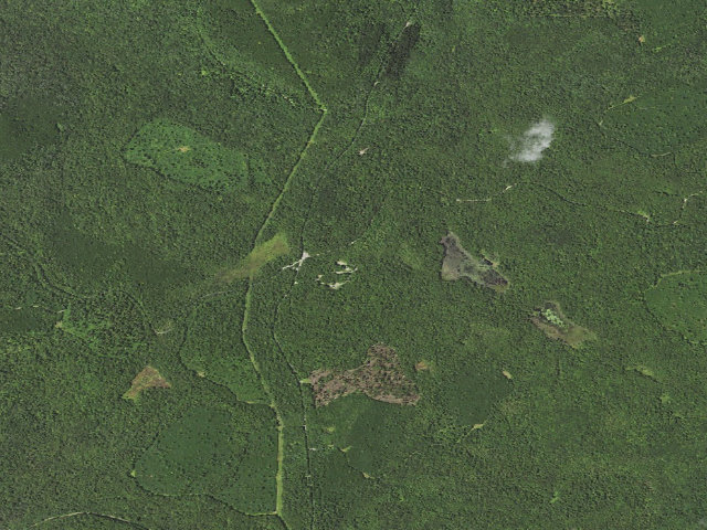Aerial image of Loyalsock State Forest roadside campsite 207