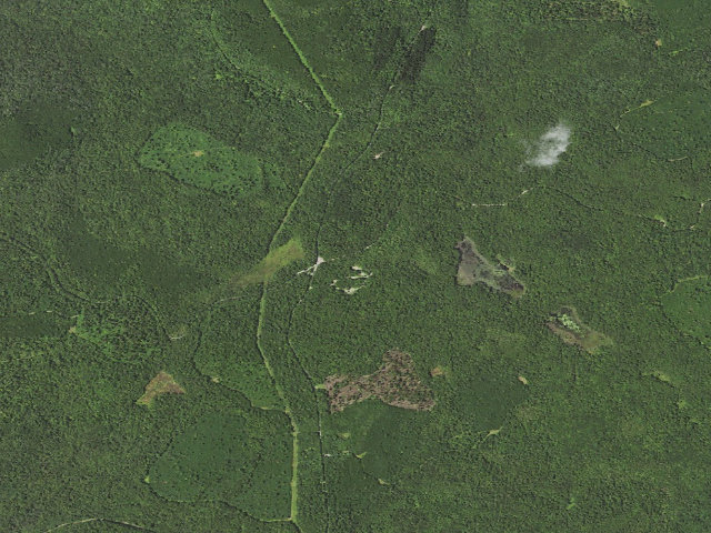 Aerial image of Loyalsock State Forest roadside campsite 208