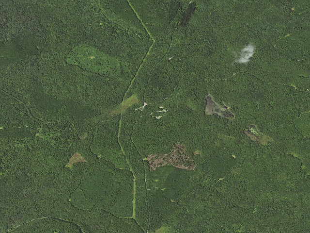 Aerial image of Loyalsock State Forest roadside campsite 210