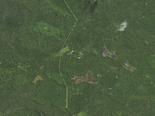 Aerial image of Loyalsock State Forest roadside campsite 211