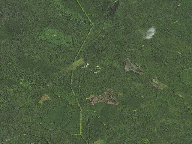 Aerial image of Loyalsock State Forest roadside campsite 212