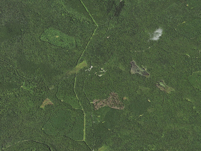 Aerial image of Loyalsock State Forest roadside campsite 213