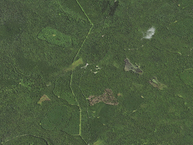Aerial image of Loyalsock State Forest roadside campsite 214
