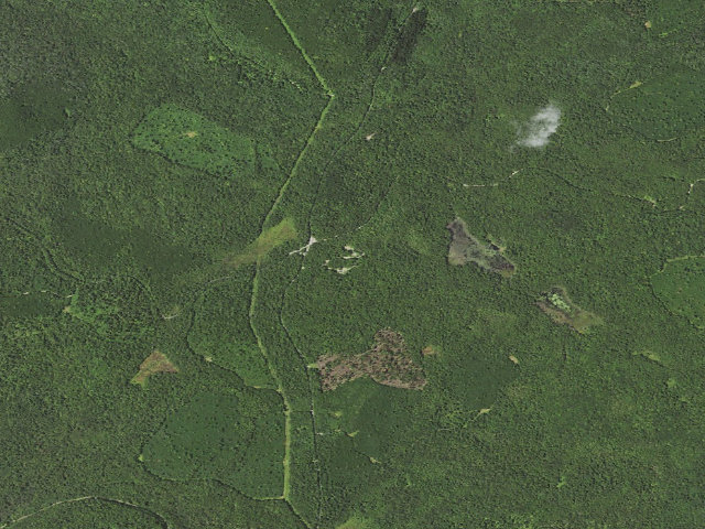 Aerial image of Loyalsock State Forest roadside campsite 216