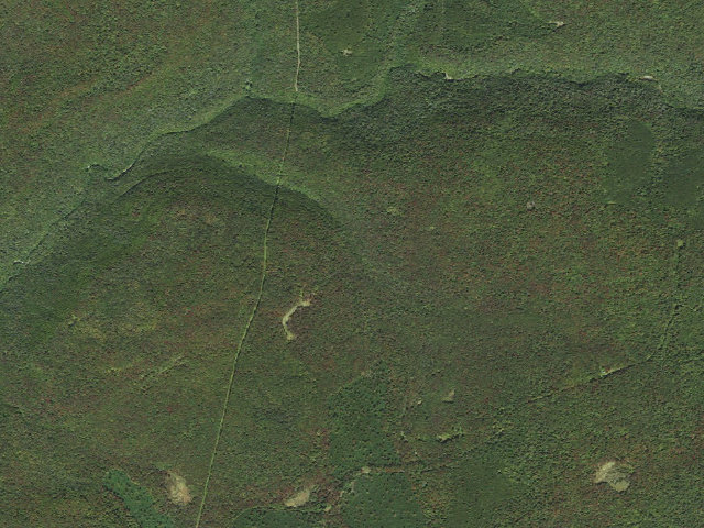 Aerial image of Loyalsock State Forest roadside campsite 359