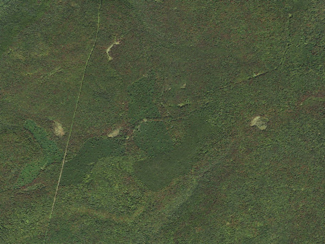 Aerial image of Loyalsock State Forest roadside campsite 360