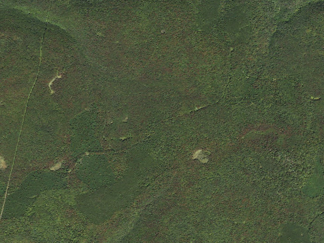 Aerial image of Loyalsock State Forest roadside campsite 361