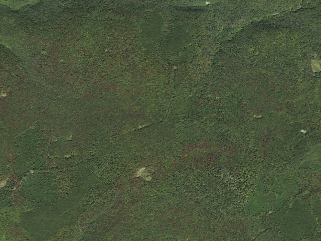 Aerial image of Loyalsock State Forest roadside campsite 362