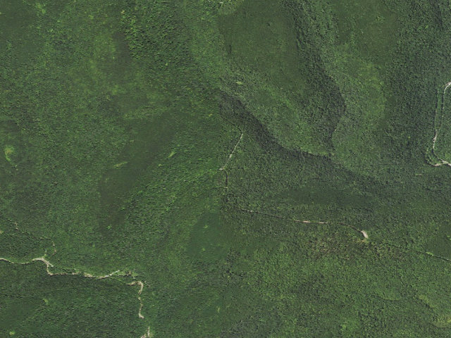 Aerial image of Loyalsock State Forest roadside campsite 392