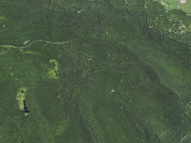 Aerial image of Loyalsock State Forest roadside campsite 400