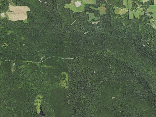 Aerial image of Loyalsock State Forest roadside campsite 401