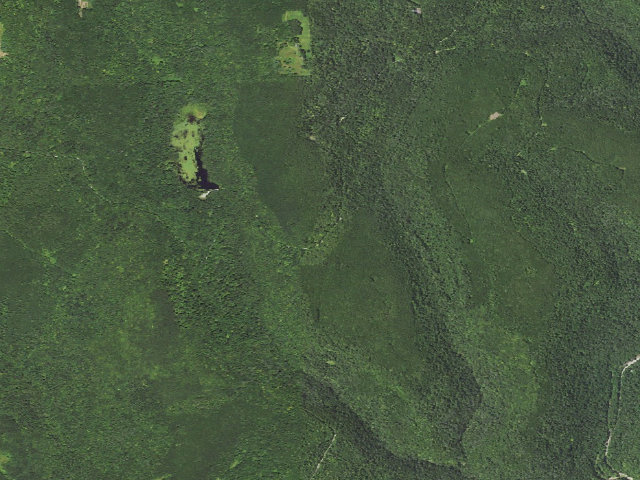 Aerial image of Loyalsock State Forest roadside campsite 418