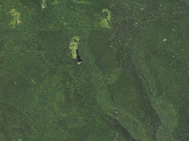 Aerial image of Loyalsock State Forest roadside campsite 426